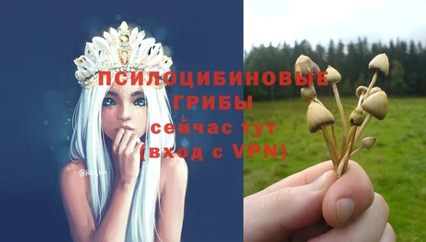 марки nbome Коряжма