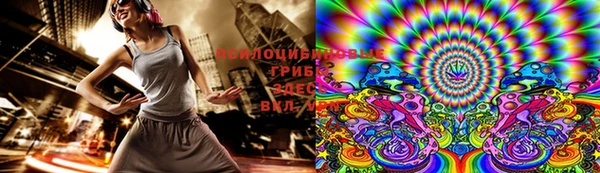 дмт Алексин