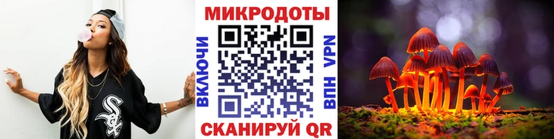 Псилоцибиновые грибы ЛСД  купить закладку  площадка официальный сайт  Александров 